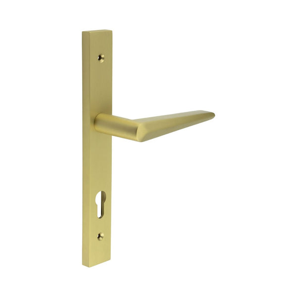 CR-107 Satin Brass Multi Point Backplate Door Handle - CR-107G4SB