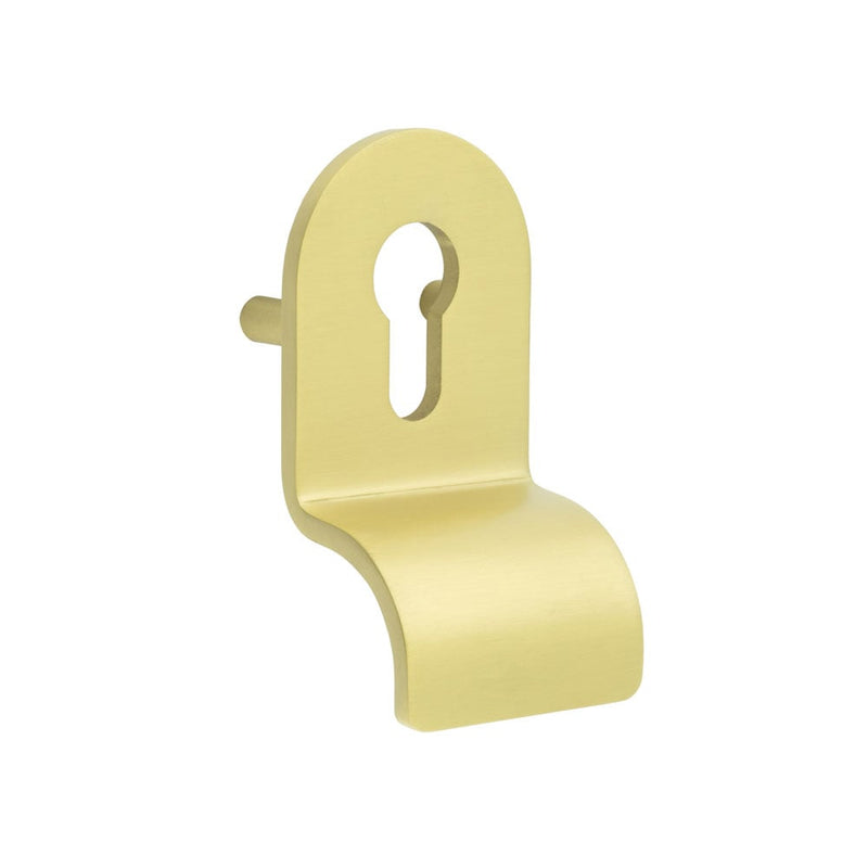 Cylinder Pull Lug Fixed Satin Brass - CRES1602SB - Choice Handles