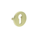 CRES Satin Brass Euro Escutcheon Lug Fixed - CRES1652SB - Choice Handles