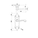 Frelan - Fleur De Lys Door Handles On Backplate - Bathroom - Black Antique - JAB500B - Choice Handles