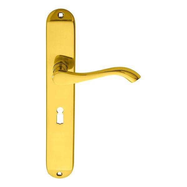 Carlisle Brass - Andros Lever on Long Lock Backplate - Polished Brass - DL380 - Choice Handles