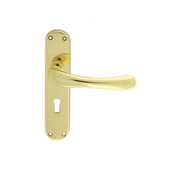 Manital - Ibra Lever on Lock Backplate - Polished Brass - EL11 - Choice Handles