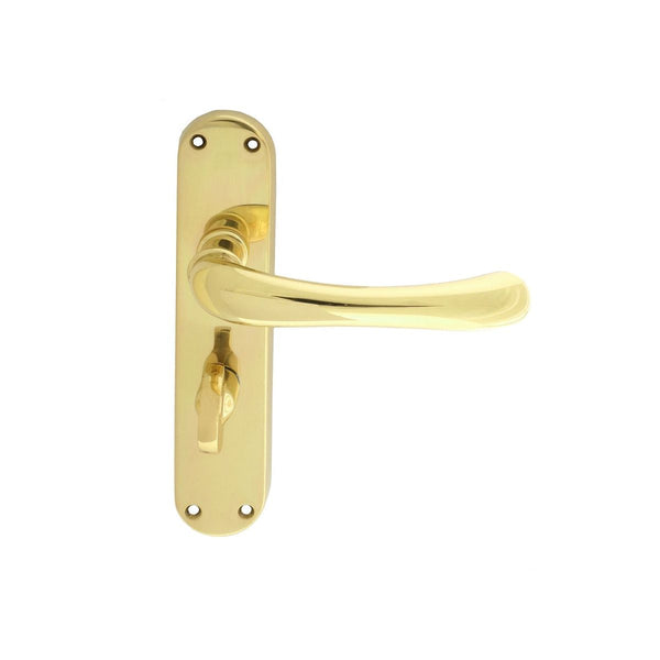 Manital - Ibra Lever on WC Backplate - Polished Brass - EL13 - Choice Handles