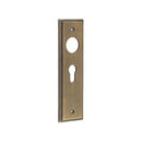 Burlington - Lever Handle Backplate Din Euro - Antique Brass - BUR454AB - Choice Handles