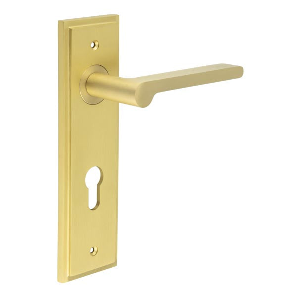 Burlington - Fitzrovia Door Handle On Din Euro Backplate - Satin Brass - BUR15KIT246 - Choice Handles