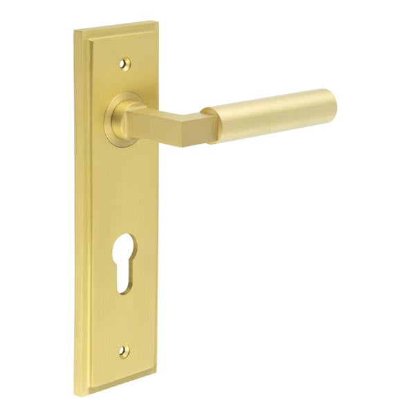 Burlington - Westminster Door Handle On Din Euro Backplate - Satin Brass - BUR30KIT246 - Choice Handles