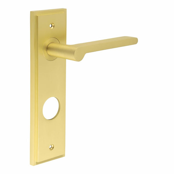 Burlington - Fitzrovia Door Handle on Din Bathroom Backplate - Satin Brass - BUR15KIT247 - Choice Handles