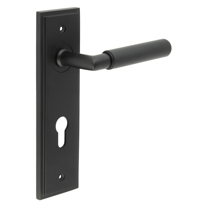 Burlington - Piccadilly Door Handle On Din Euro Backplate - Black - BUR40KIT337 - Choice Handles