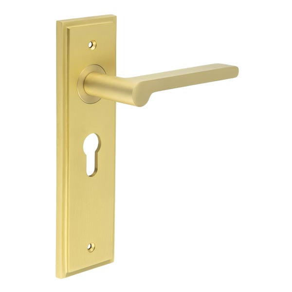 Burlington - Fitzrovia Door Handle On Din Euro Backplate - Satin Brass - BUR15KIT245 - Choice Handles