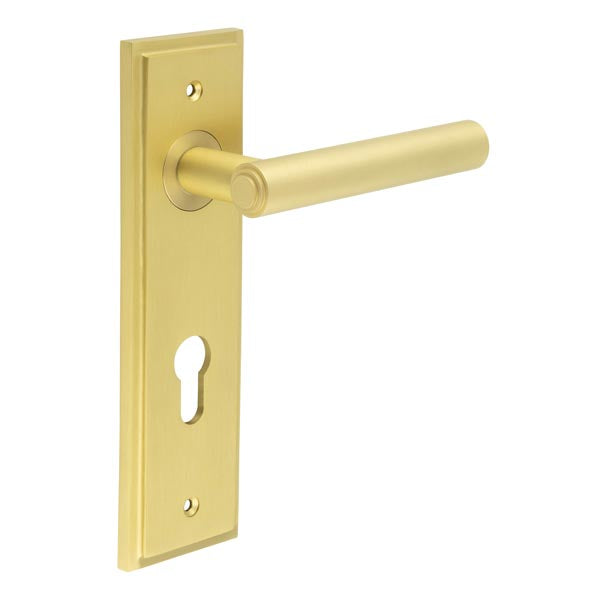 Burlington - Richmond Door Handle On Din Euro Backplate - Satin Brass - BUR45KIT246 - Choice Handles