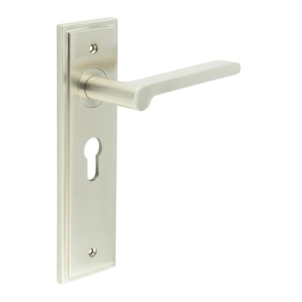 Burlington - Fitzrovia Door Handle On Din Euro Backplate - Satin Nickel - BUR15KIT323 - Choice Handles