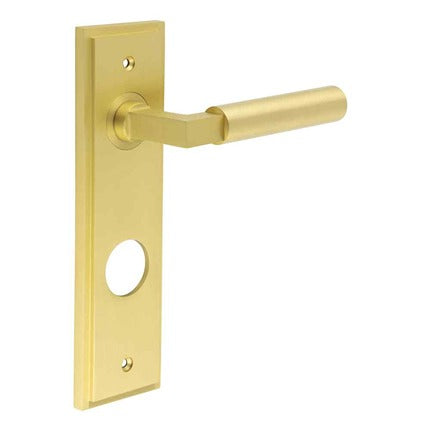 Burlington - Westminster Door Handle On Din Bathroom Backplate - Satin Brass - BUR30KIT247 - Choice Handles