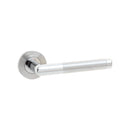 Burlington - Cambrio Door Handle on Rose Grade 304  - Satin Stainless/Polished Stainless - JSSPS701 - Choice Handles