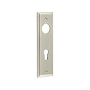 Burlington - Lever Handle Backplate Din Euro - Satin Nickel - BUR455SN - Choice Handles