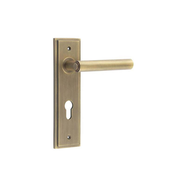 Burlington - Richmond Door Handle On Din Euro Backplate - Antique Brass - BUR45KIT12 - Choice Handles