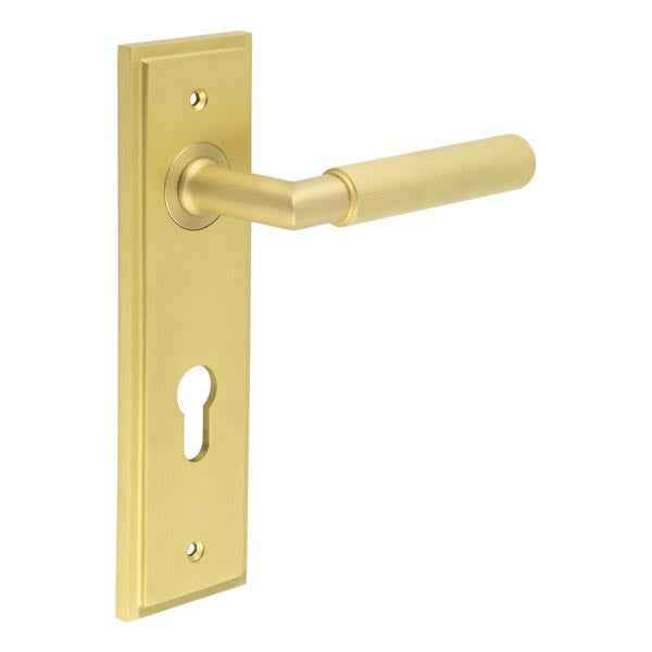 Burlington - Piccadilly Door Handle On Din Euro Backplate - Satin Brass - BUR40KIT246 - Choice Handles