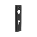 Burlington - Lever Handle Backplate Din Euro - Black - BUR455MB - Choice Handles