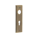 Burlington - Lever Handle Backplate Din Euro - Antique Brass - BUR455AB - Choice Handles