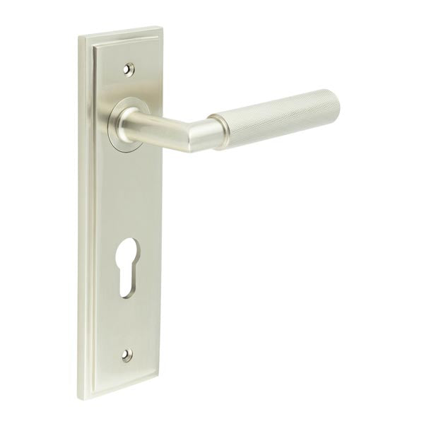 Burlington - Piccadilly Door Handle On Din Euro Backplate - Satin Nickel - BUR40KIT324 - Choice Handles