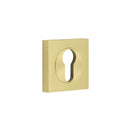 Burlington - Euro Profile Escutcheons Square Plain Rose - Satin Brass - BUR-61SB-171SB - Choice Handles