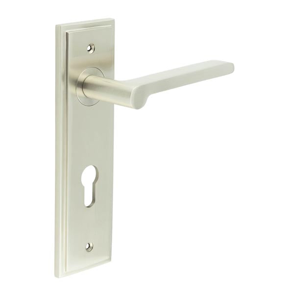 Burlington - Fitzrovia Door Handle On Din Euro Backplate - Satin Nickel - BUR15KIT324 - Choice Handles