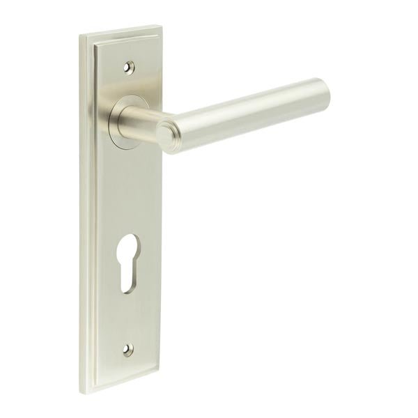 Burlington - Richmond Door Handle On Din Euro Backplate - Satin Nickel - BUR45KIT324 - Choice Handles