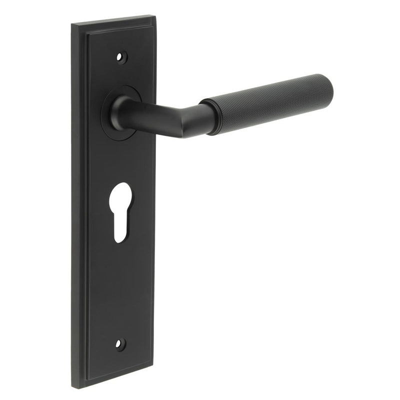 Burlington - Piccadilly Door Handle On Euro Backplate - Black - BUR40KIT336 - Choice Handles