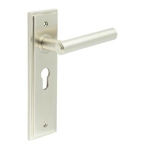 Burlington - Richmond Door Handle On Euro Backplate - Satin Nickel - BUR45KIT323 - Choice Handles