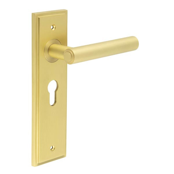 Burlington - Richmond Door Handle On Euro Backplate - Satin Brass - BUR45KIT245 - Choice Handles