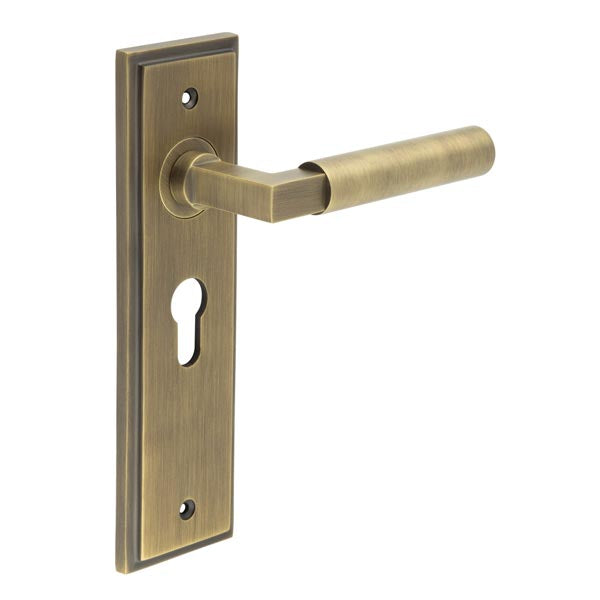 Burlington - Westminster Door Handle On Euro Backplate - Antique Brass - BUR30KIT11 - Choice Handles