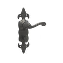 Frelan - Fleur De Lys Door Handles On Backplate - Bathroom - Black Antique - JAB500B - Choice Handles