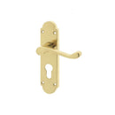 Frelan - Epsom Door Handles On Backplate - Euro Profile - Polished Brass - JV250EPB - Choice Handles