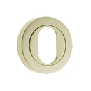 Frelan - Oval Profile Escutcheon - PVD Stainless Brass - JV503UPVD - Choice Handles