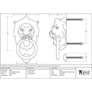 From The Anvil - Lion Head Door Knocker - Polished Brass - 33020 - Choice Handles