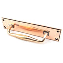 From The Anvil - 300mm Art Deco Pull Handle on Backplate - Polished Bronze - 45383 - Choice Handles
