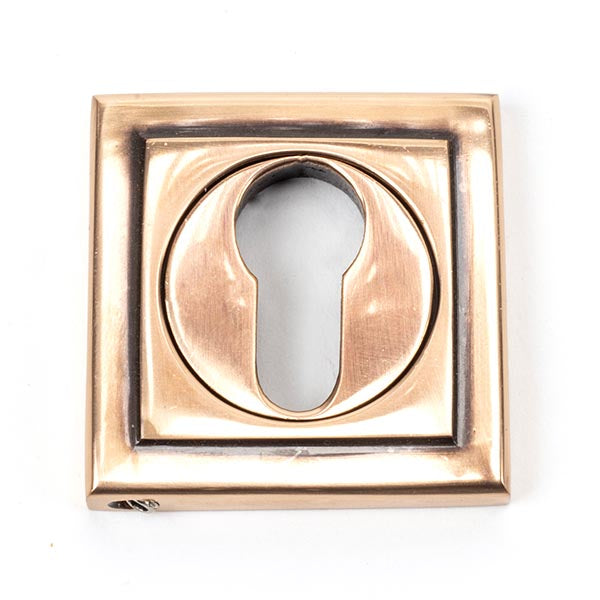 From The Anvil - Round Euro Escutcheon (Square) - Polished Bronze - 46128 - Choice Handles