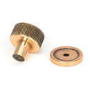 From The Anvil - Brompton Cabinet Knob - 25mm (Plain) - Polished Bronze - 46830 - Choice Handles