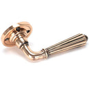From The Anvil - Hinton Lever on Rose Set - Unsprung - Polished Bronze - 50085 - Choice Handles
