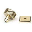 From The Anvil - Judd Cabinet Knob - 32mm (Square) - Aged Brass - 50382 - Choice Handles