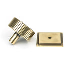 From The Anvil - Judd Cabinet Knob - 38mm (Square) - Aged Brass - 50385 - Choice Handles