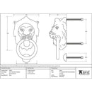 From The Anvil - Lion Head Door Knocker - Polished Nickel - 91997 - Choice Handles