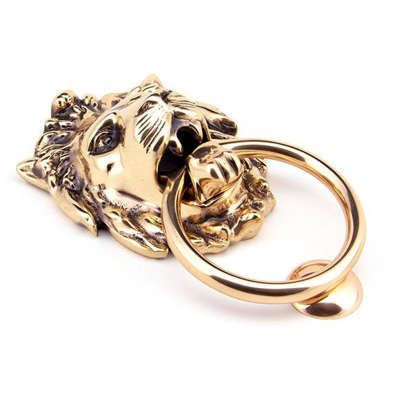 From The Anvil - Lion Head Door Knocker - Polished Bronze - 91999 - Choice Handles