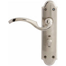 Darcel - Aubetin Lever Latch Handle On Back Plate, Satin Nickel/Polished Nickel - DCAULT-SNNP - Choice Handles