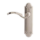 Darcel - Aubetin Lever Latch Handle On Back Plate, Satin Nickel/Polished Nickel - DCAULT-SNNP - Choice Handles