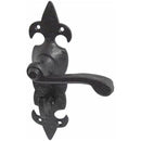 Frelan - Fleur De Lys Door Handles On Backplate - Bathroom - Black Antique - JAB500B - Choice Handles