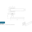 Eurospec - Carla Designer Lever on Sprung Square Rose - Satin Stainless Steel - SSL1403SSS - Choice Handles