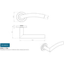 Eurospec - Steelworx SWL Dresda Lever on Rose - Satin Stainless Steel - SWL1196SSS - Choice Handles