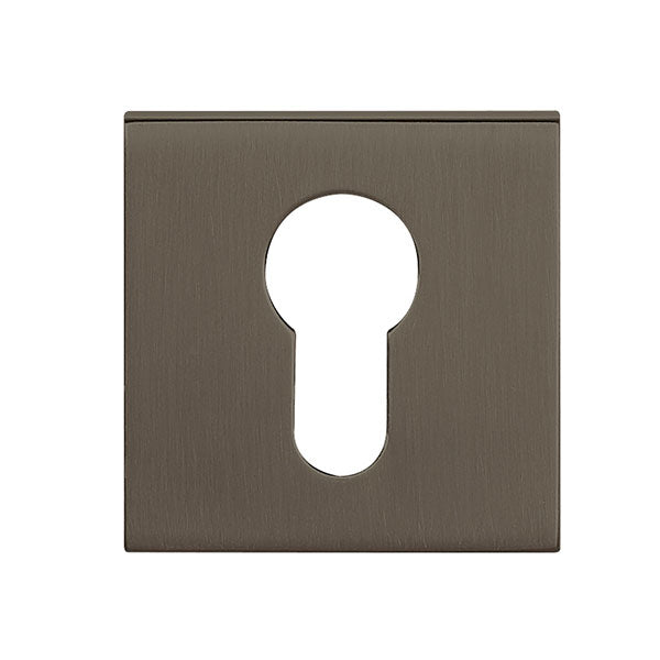 Tupai Rapido Curva/QuadraLine Euro Escutcheon on Square Rose - Titanium (Pair) - TESCESTT - Choice Handles