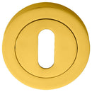 Manital - Standard Profile Escutcheon  - Polished Brass - AA3 - Choice Handles