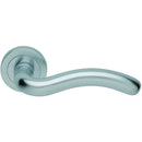 Manital - Squiggle Lever on Round Rose - Satin Chrome - AQ8SC - Choice Handles